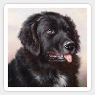 Newfoundland by Carl Reichert Magnet